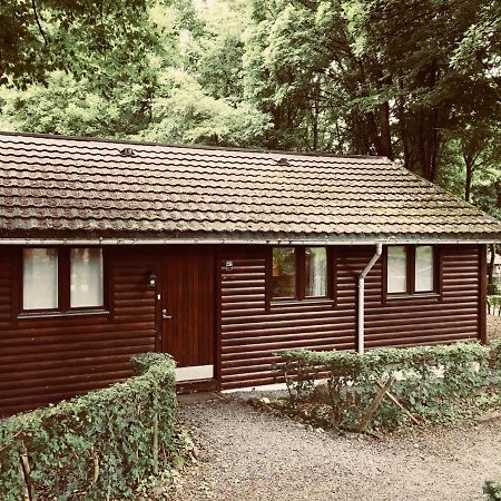 Chalet234 In La Boverie Rendeux Екстериор снимка