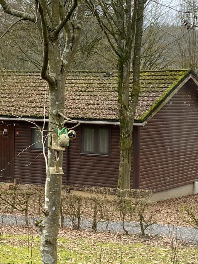 Chalet234 In La Boverie Rendeux Екстериор снимка