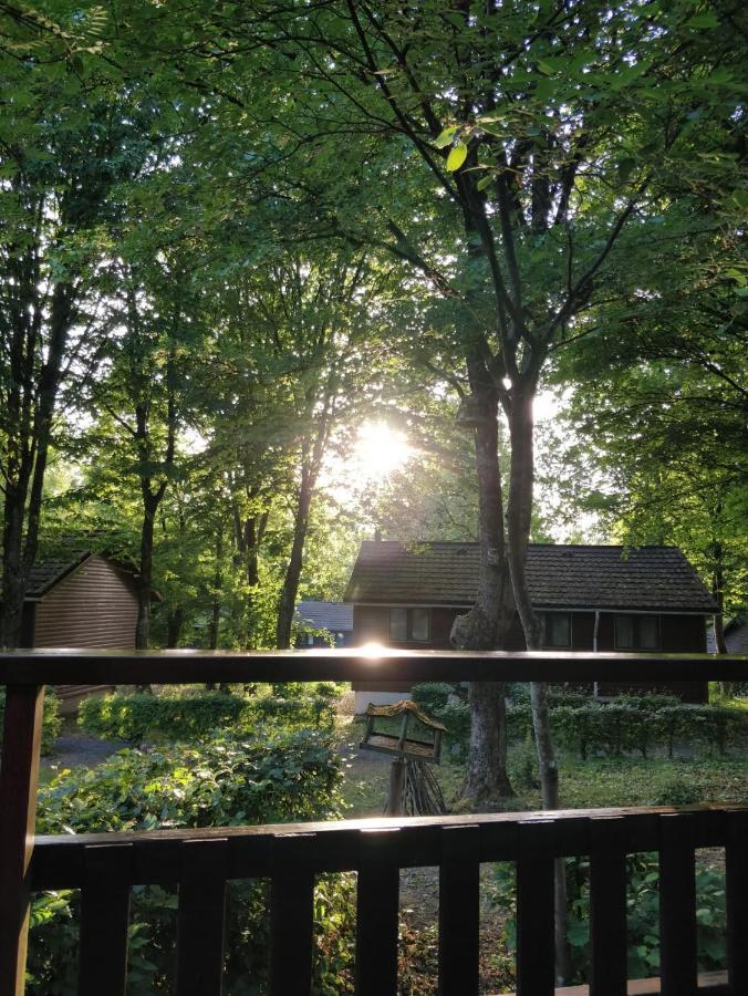 Chalet234 In La Boverie Rendeux Екстериор снимка